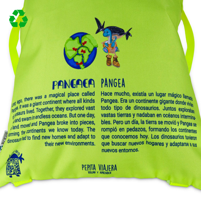 Mochila saco Dinosaurios